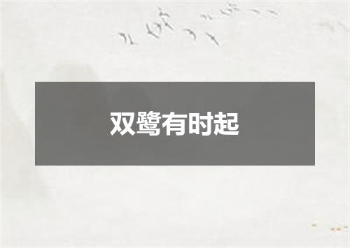 双鹭有时起