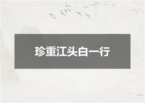 珍重江头白一行