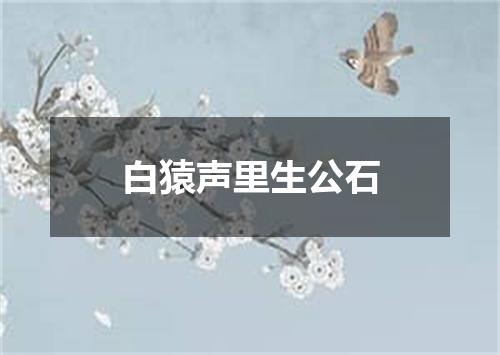 白猿声里生公石