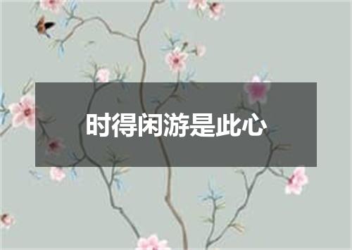 时得闲游是此心