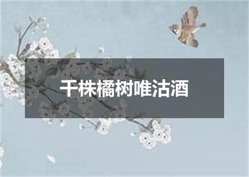 千株橘树唯沽酒