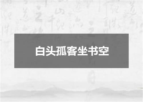 白头孤客坐书空