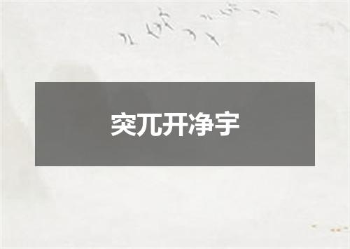 突兀开净宇