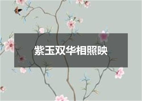 紫玉双华相照映