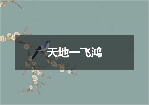 天地一飞鸿