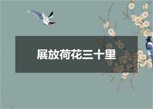 展放荷花三十里