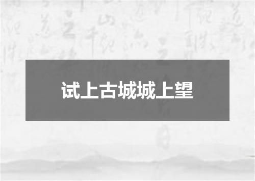 试上古城城上望