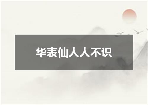 华表仙人人不识