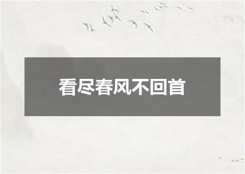 看尽春风不回首