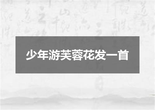 少年游芙蓉花发一首