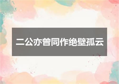 二公亦曾同作绝壁孤云