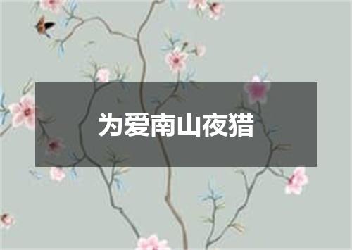 为爱南山夜猎