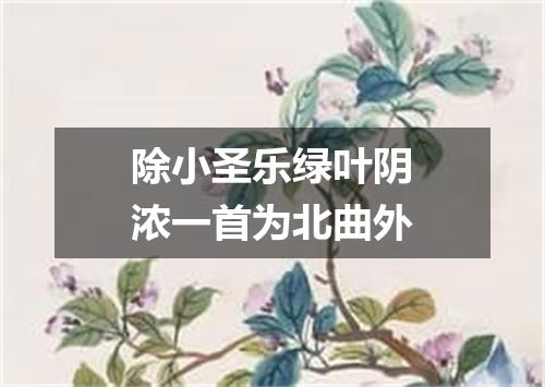除小圣乐绿叶阴浓一首为北曲外