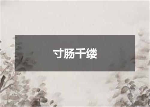 寸肠千缕
