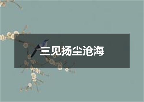 三见扬尘沧海