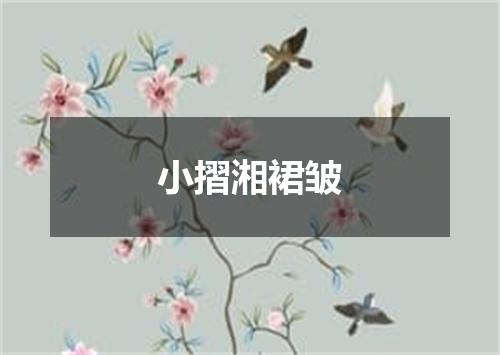 小摺湘裙皱