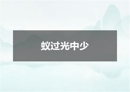 蚁过光中少