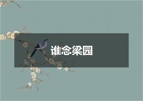 谁念梁园