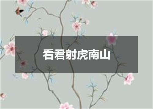 看君射虎南山