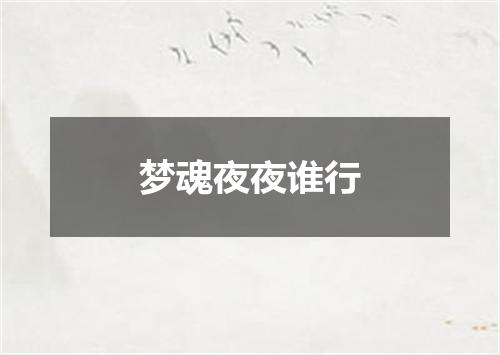 梦魂夜夜谁行
