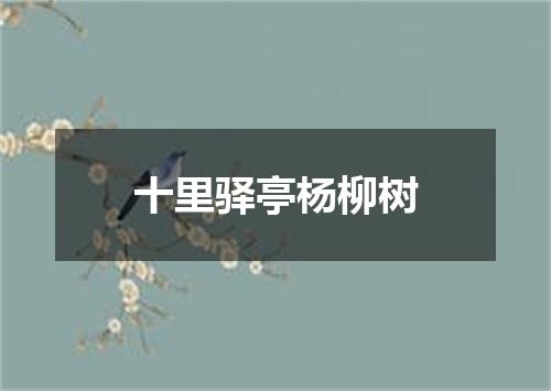 十里驿亭杨柳树