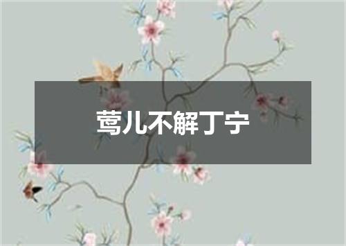 莺儿不解丁宁
