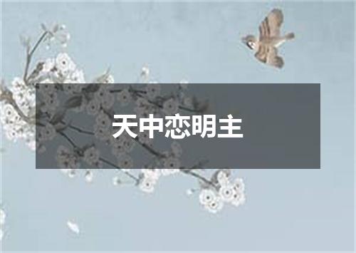 天中恋明主