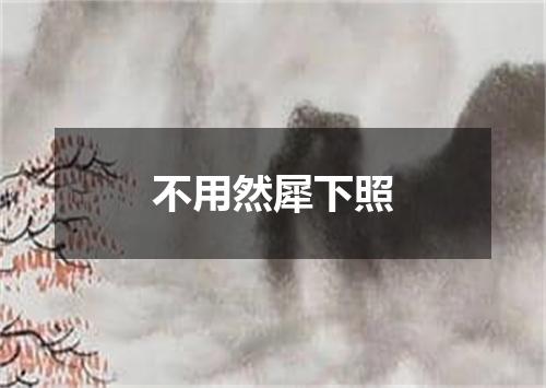 不用然犀下照