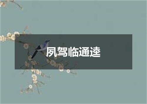 夙驾临通逵