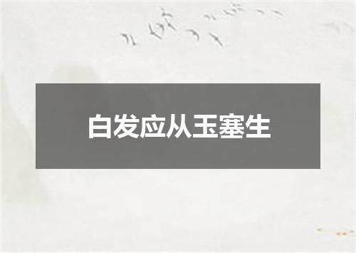 白发应从玉塞生
