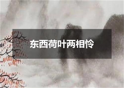 东西荷叶两相怜