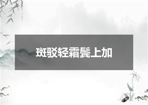 斑驳轻霜鬓上加