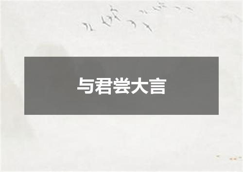 与君尝大言