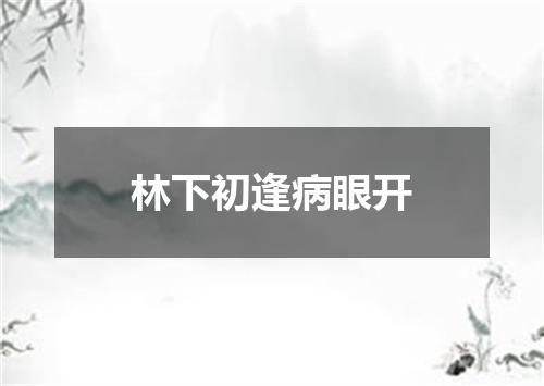 林下初逢病眼开