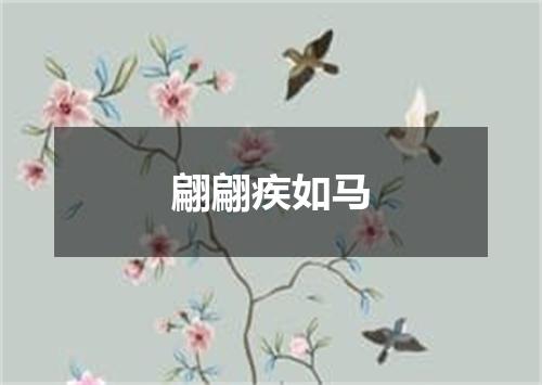 翩翩疾如马