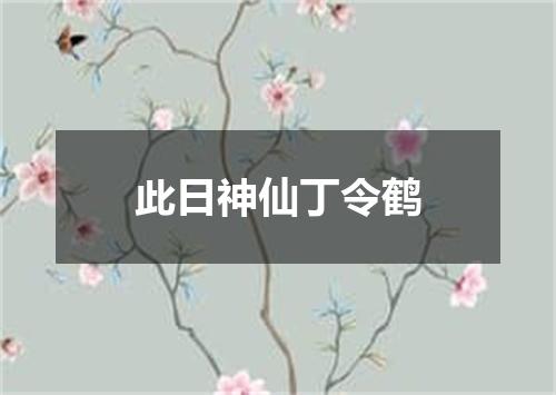 此日神仙丁令鹤