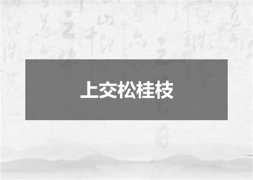 上交松桂枝