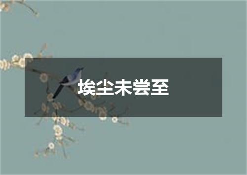 埃尘未尝至
