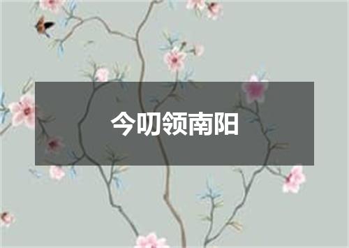 今叨领南阳