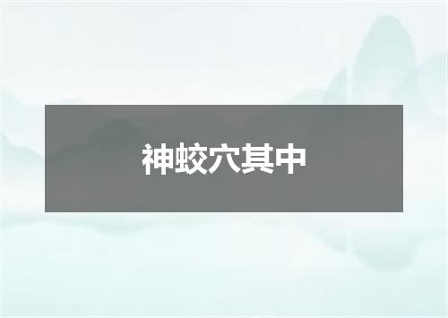 神蛟穴其中