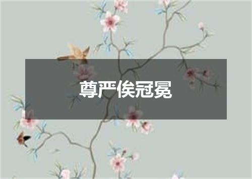 尊严俟冠冕