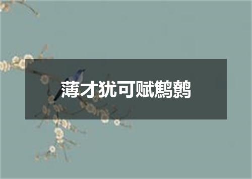薄才犹可赋鹪鹩