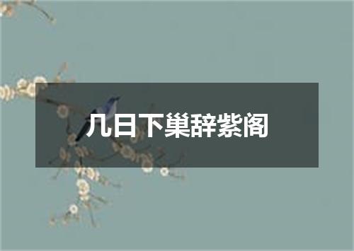 几日下巢辞紫阁