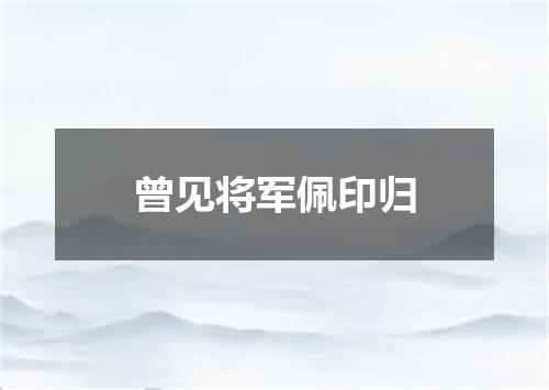 曾见将军佩印归