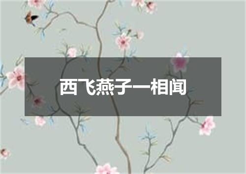 西飞燕子一相闻
