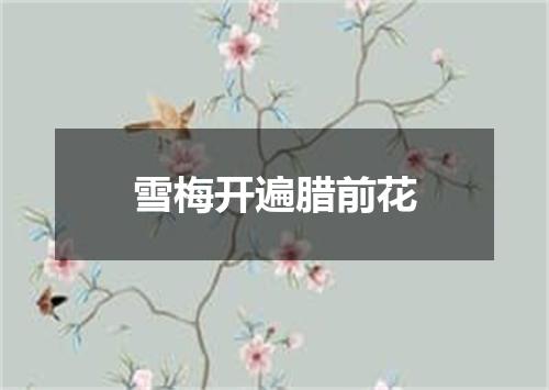 雪梅开遍腊前花