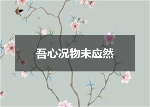 吾心况物未应然