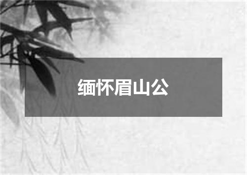 缅怀眉山公