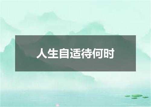 人生自适待何时