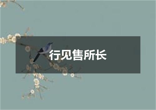 行见售所长